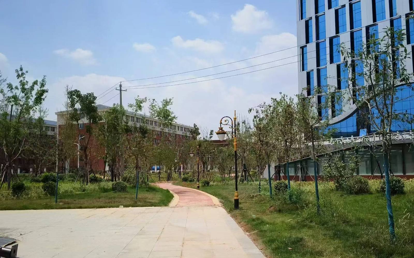 Solar street lighting